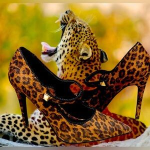 JustFab High heel Pumps Adelaide Leopardino New in box 4” heel